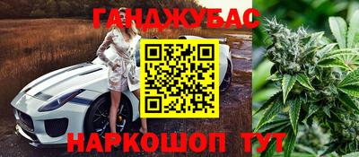 ПСИЛОЦИБИНОВЫЕ ГРИБЫ Тверь