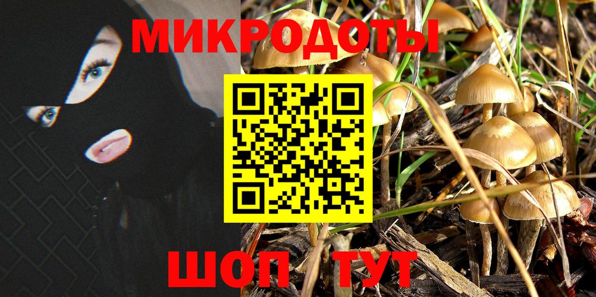 Галлюциногенные грибы Psilocybine cubensis  Вход с VPN  Ахтубинск 